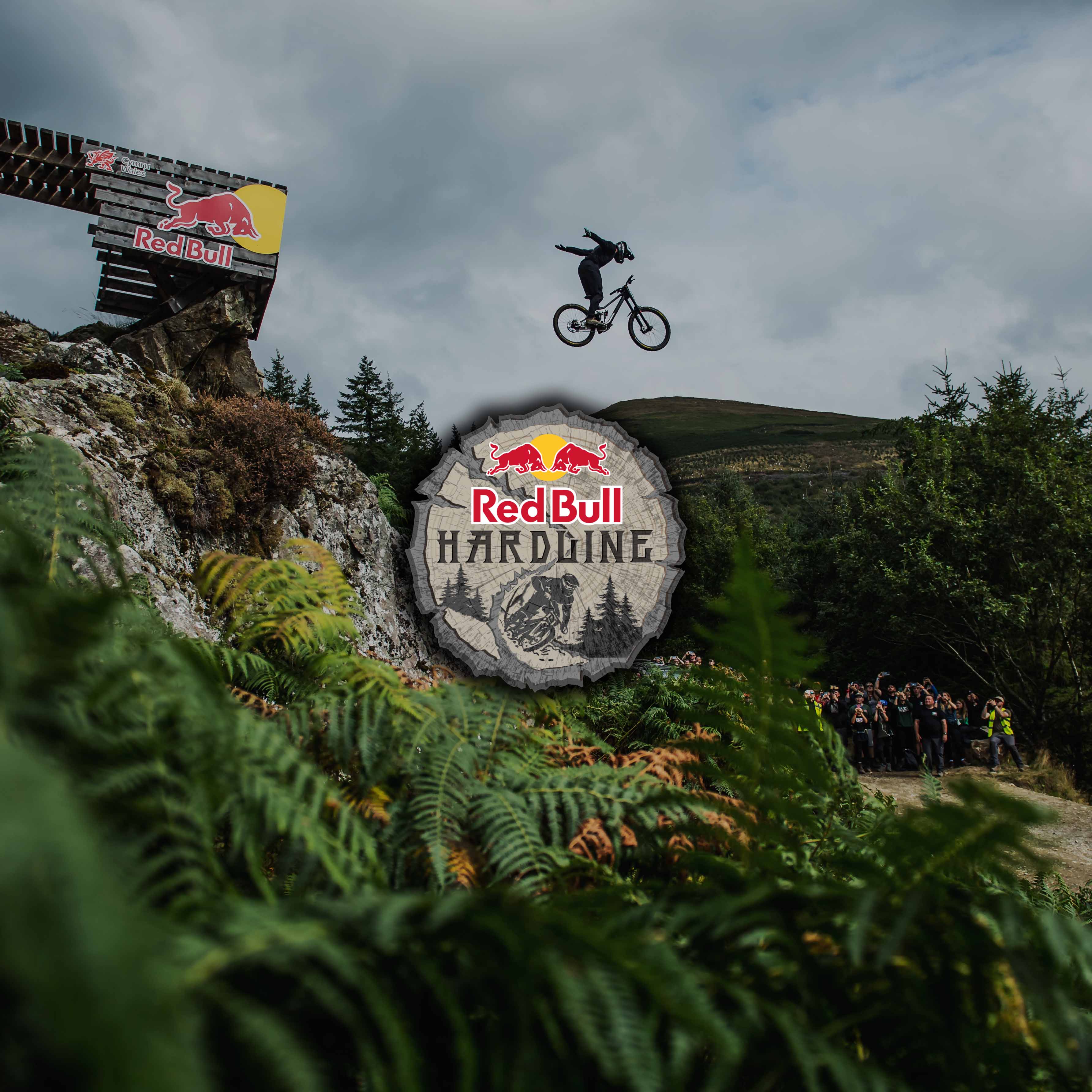 RED BULL HARDLINE HELFARE